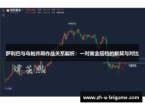 萨利巴与乌帕并肩作战关系解析:一对黄金搭档的默契与对比 萨利巴与乌帕并肩作战关系解析:一对黄金搭档的默契与对比