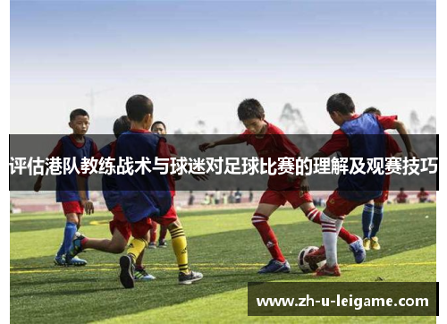 评估港队教练战术与球迷对足球比赛的理解及观赛技巧