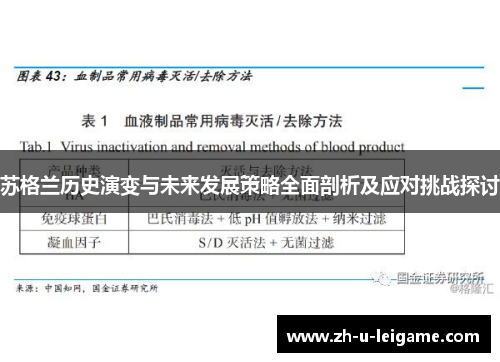 苏格兰历史演变与未来发展策略全面剖析及应对挑战探讨