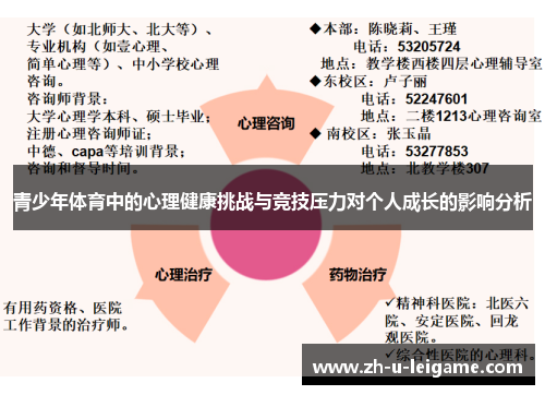 青少年体育中的心理健康挑战与竞技压力对个人成长的影响分析