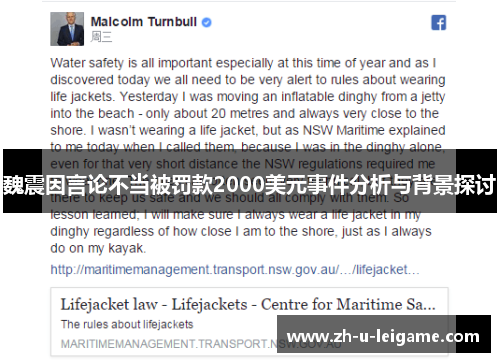 魏震因言论不当被罚款2000美元事件分析与背景探讨